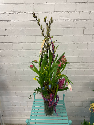 Living Vase Luxury - Mixed selection of on the bulb flowers growing in front of your eyes, Tulips, Muscari Hyacinth and Tete a tete its a living vase - dribble of water required daily